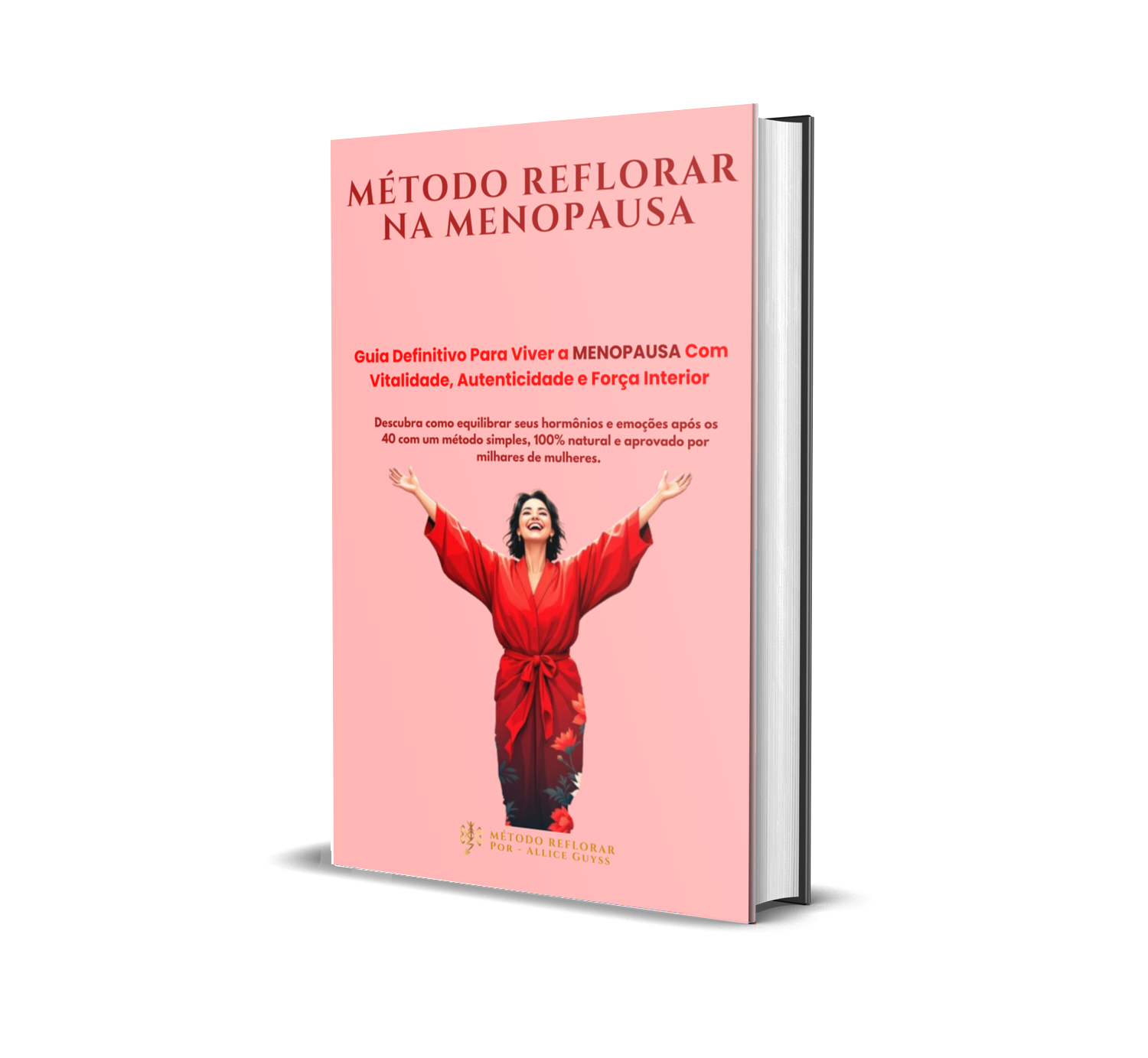 reflorar capa solo 3d